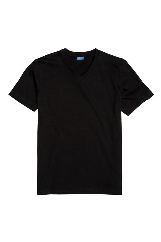 CityLab -Basic T-Shirt, V Neck 0208V