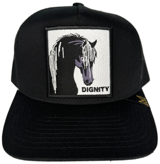 MV Dad Hats - Dignity Trucker Hat - Black/Black