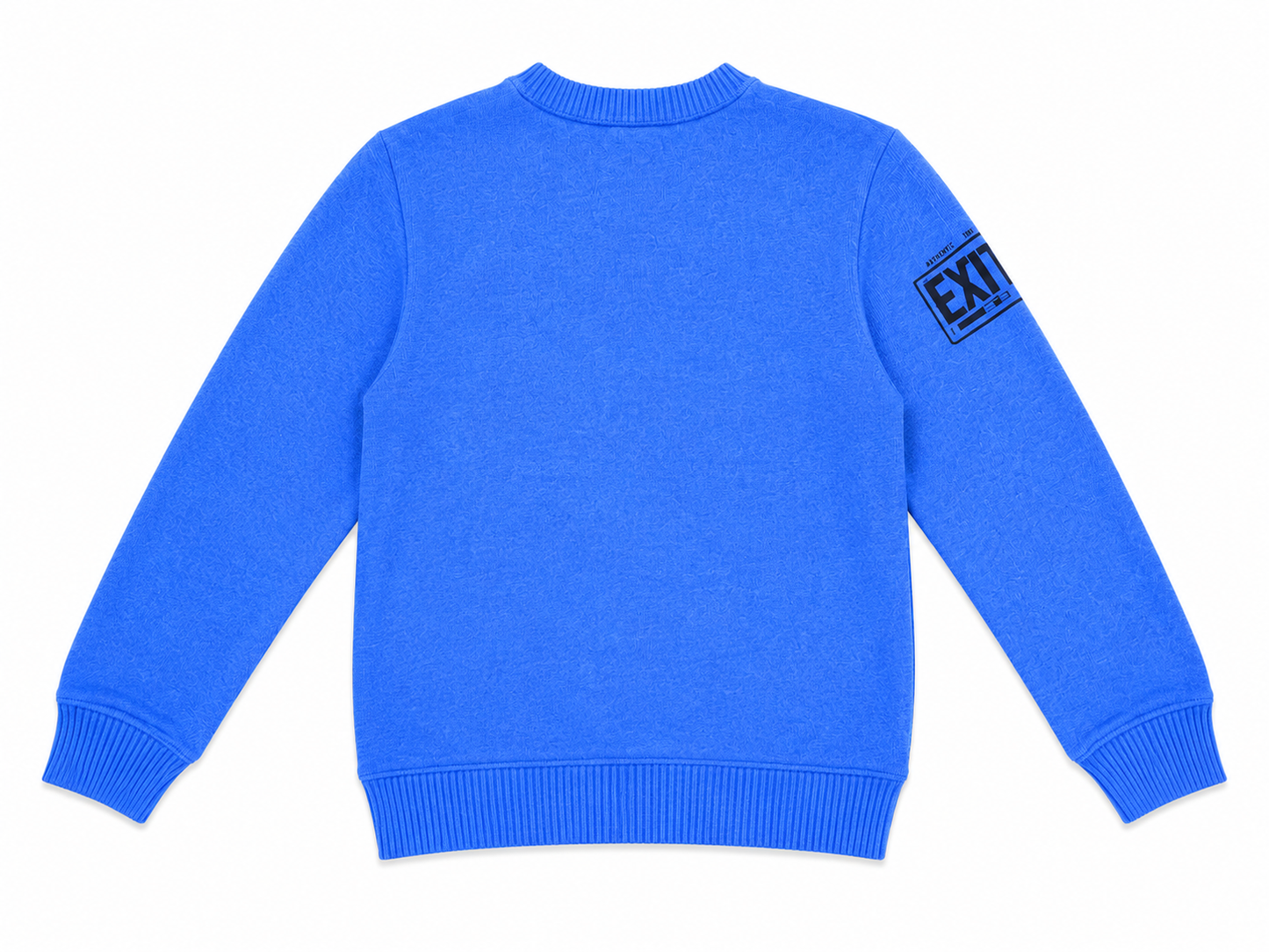 EXIT KIDS COOL PIGEON CREWNECK