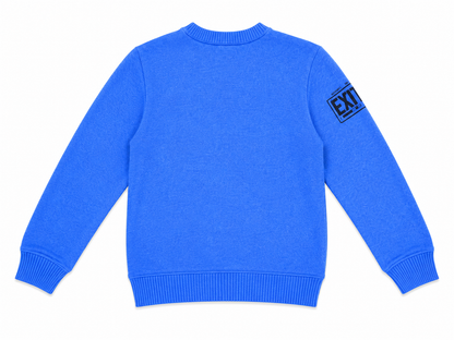 EXIT KIDS COOL PIGEON CREWNECK
