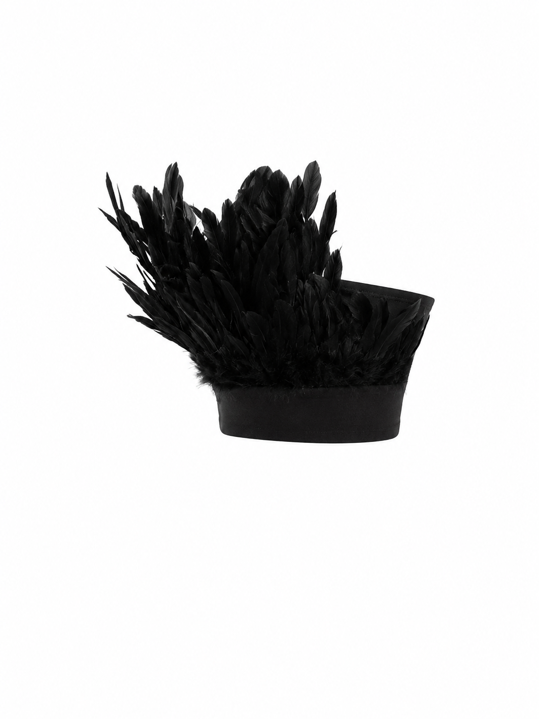 HOT & DELICIOUS BLACK SWAN FEATHER TUBE TOP
