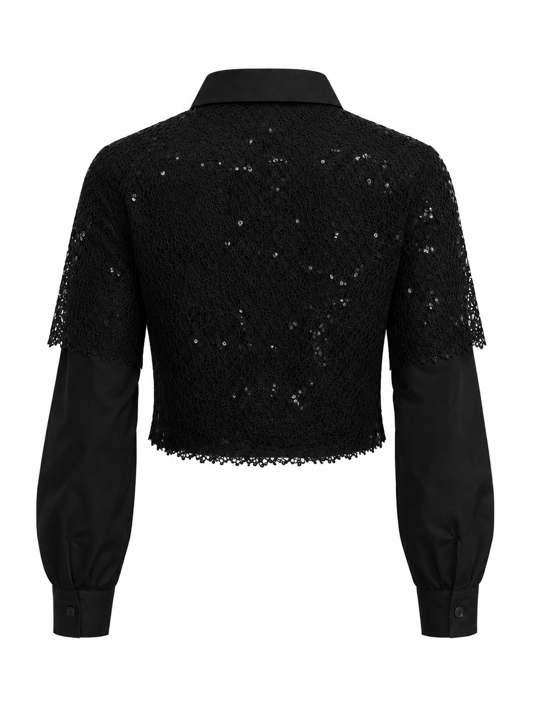 HOT & DELICIOUS WOMEN PURE ELEGANCE LACE COLLARED TOP