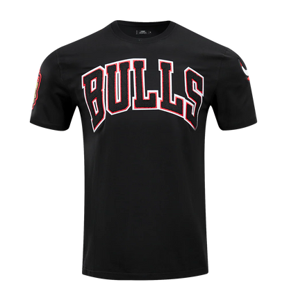 PRO STANDARD NBA CHICAGO BULLS CLASSIC CHENILLE MEN'S T-SHIRT