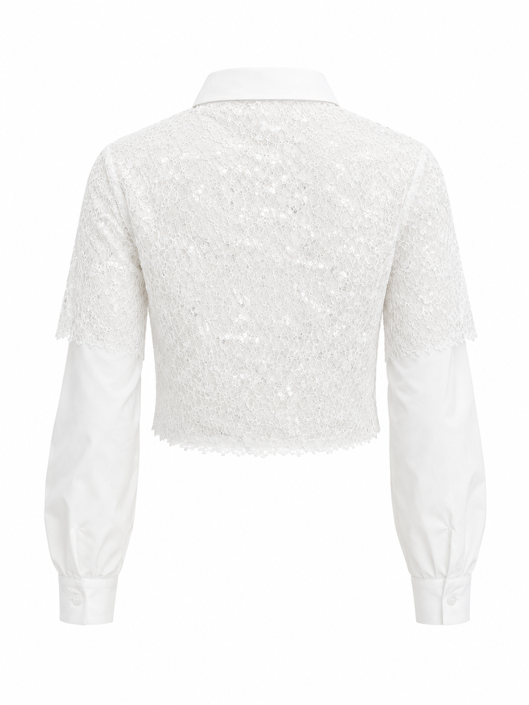 HOT & DELICIOUS WOMEN PURE ELEGANCE LACE COLLARED TOP