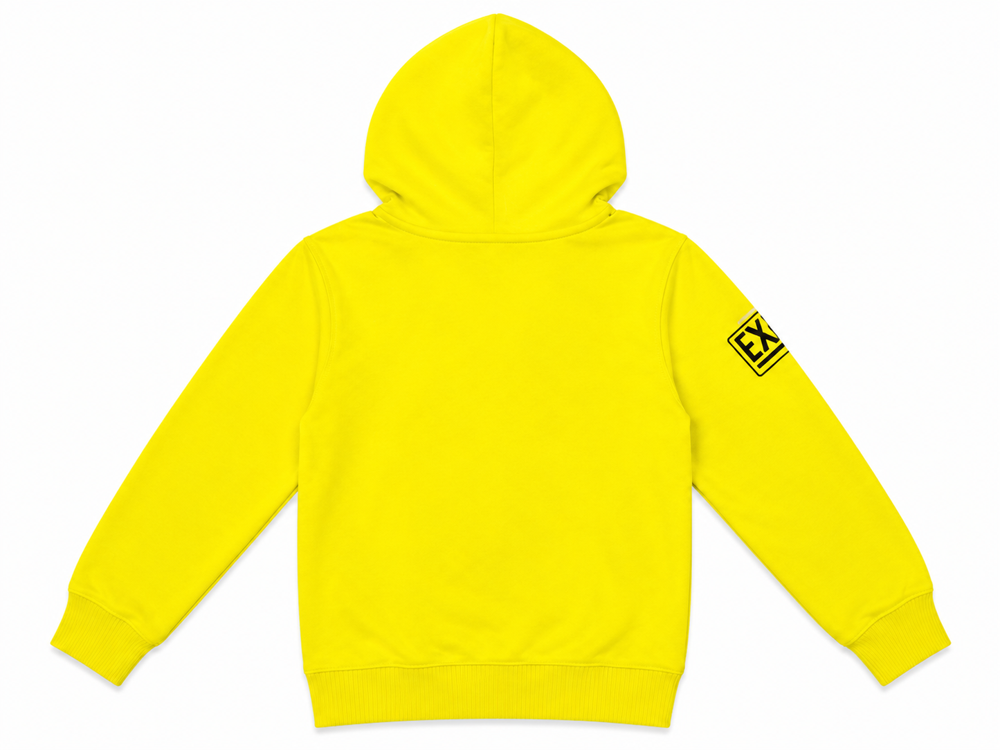 EXIT KIDS PROVE THEM WRONG HOODIE