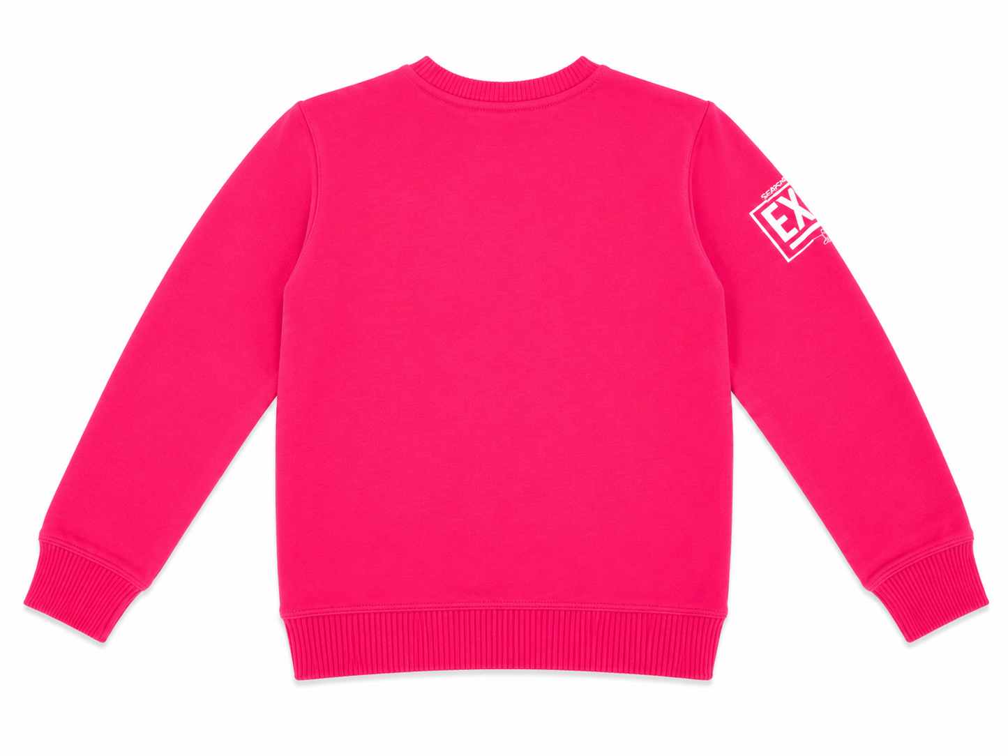 EXIT KIDS COOL PIGEON CREWNECK